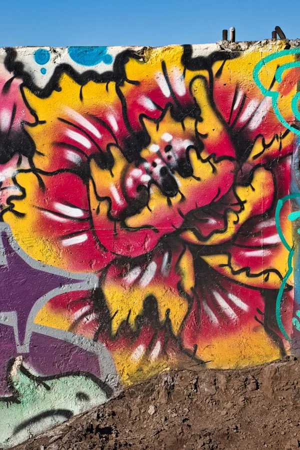 Colorful graffiti of a bursting blossom in red, yellow and pink — a symbol of impact and unfolding